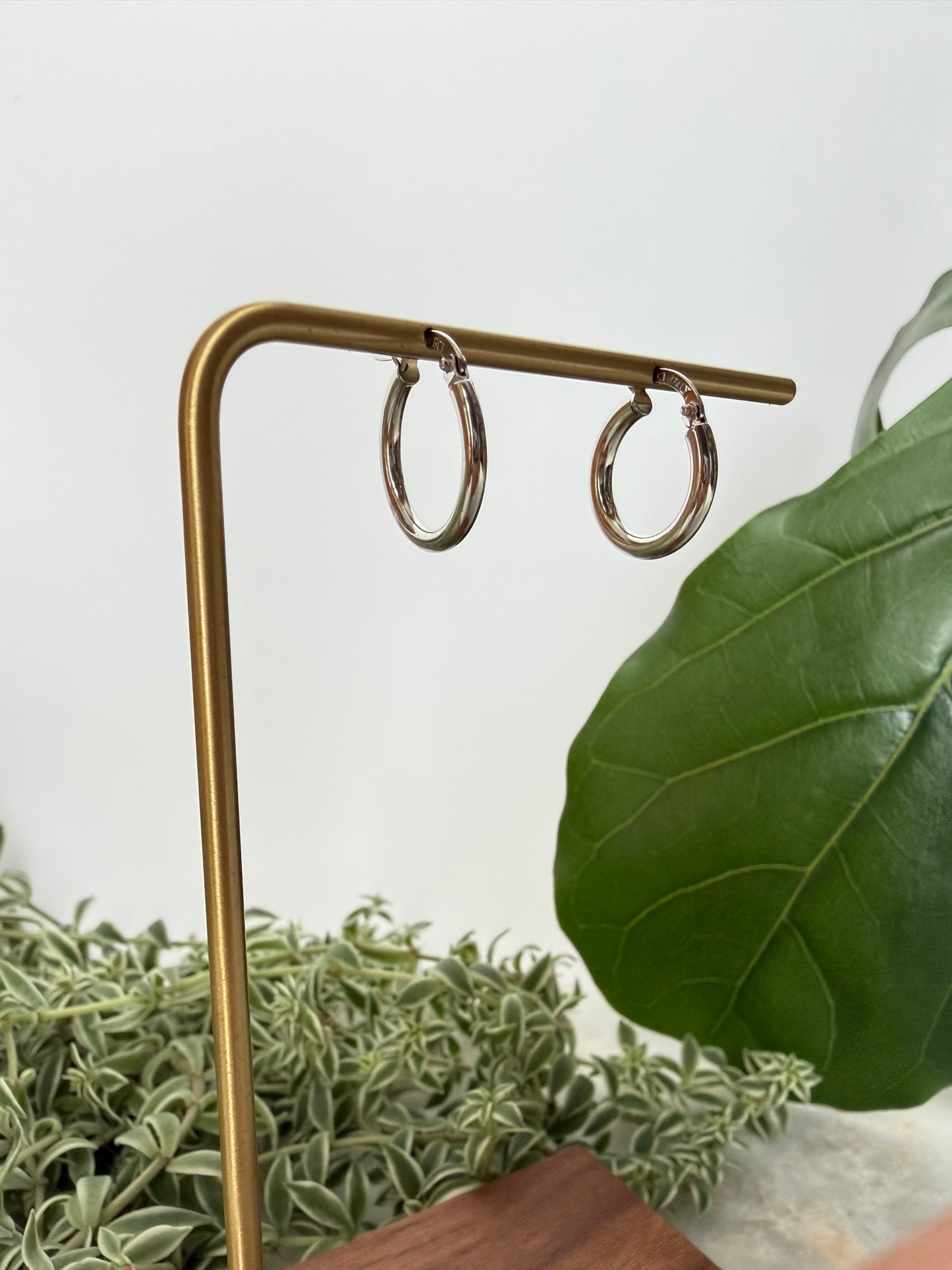 White Gold Hoop Earrings