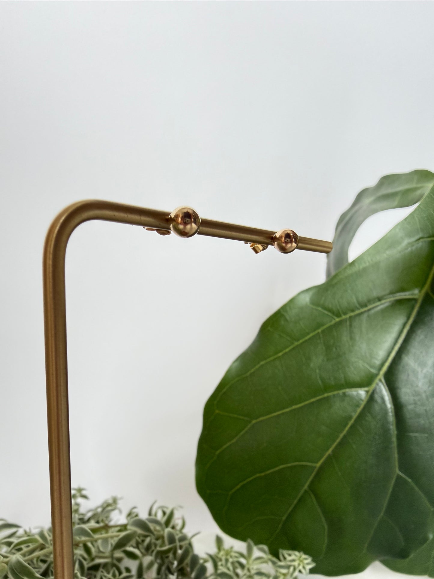 Yellow Gold Round Stud Earrings