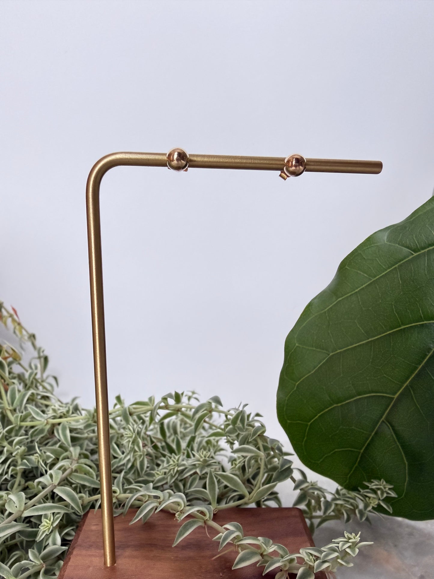 Yellow Gold Round Stud Earrings