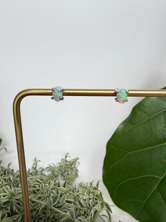 Opal Stud Earrings